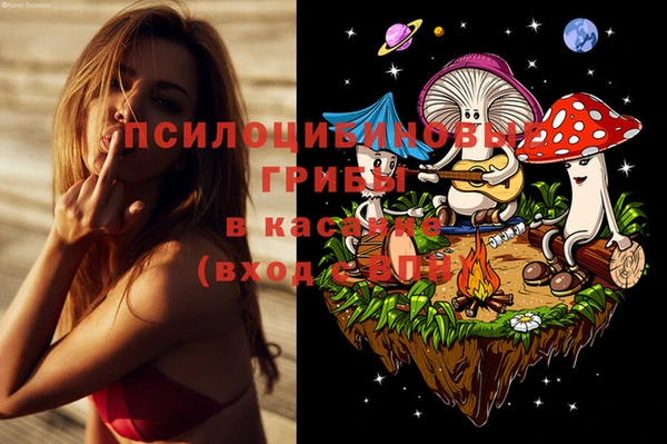 прущие грибы Михайлов