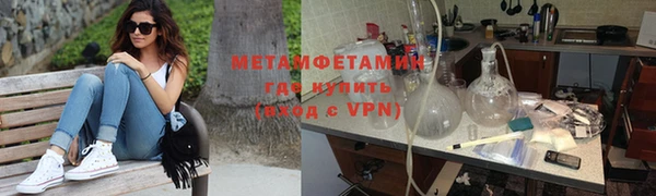 прущие грибы Михайлов