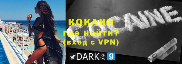 прущие грибы Михайлов