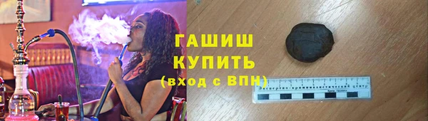прущие грибы Михайлов