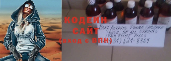 прущие грибы Михайлов