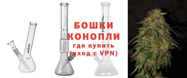 прущие грибы Михайлов
