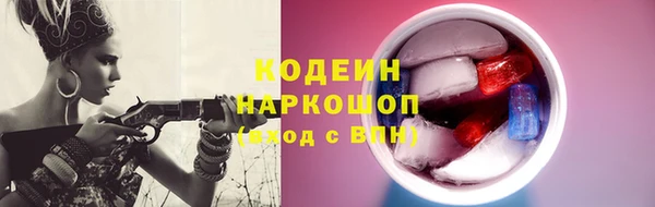 прущие грибы Михайлов