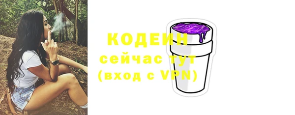 прущие грибы Михайлов
