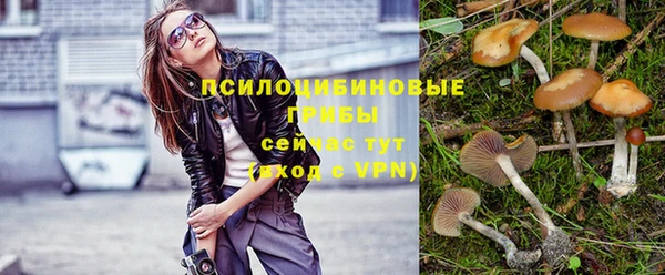 прущие грибы Дубна